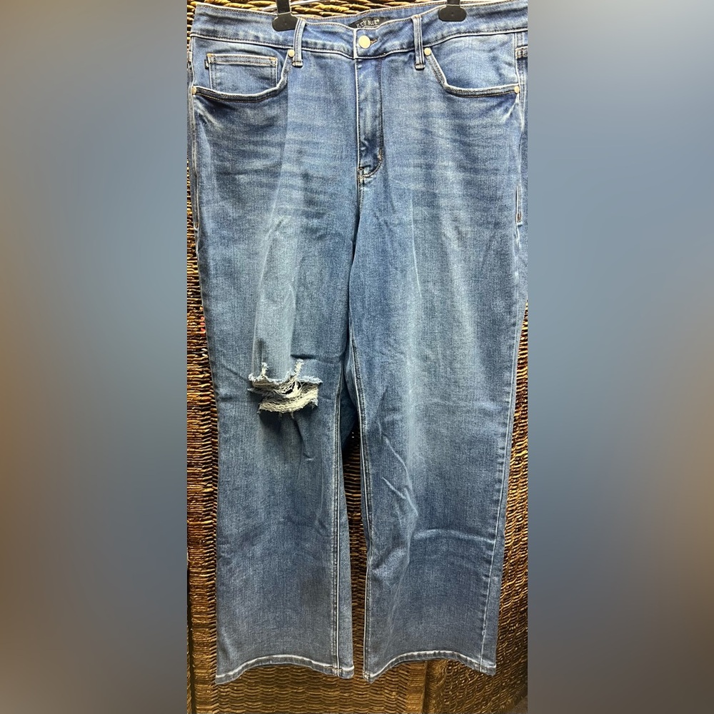 Judy Blue Classic Denim Jeans- Womens, 20W, 90’s Straight Fit